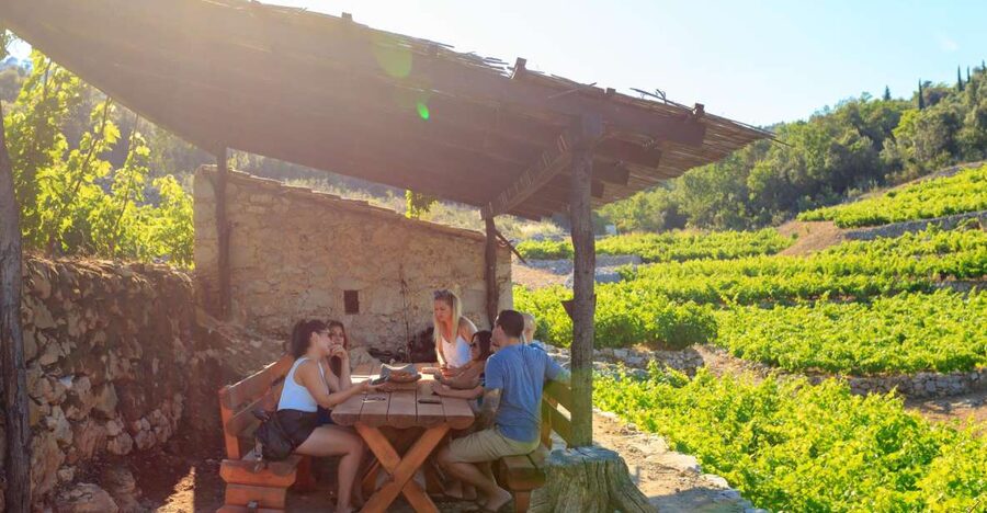 Pelješac Full-Day Wine and Food Tour from Dubrovnik - The day at a glance