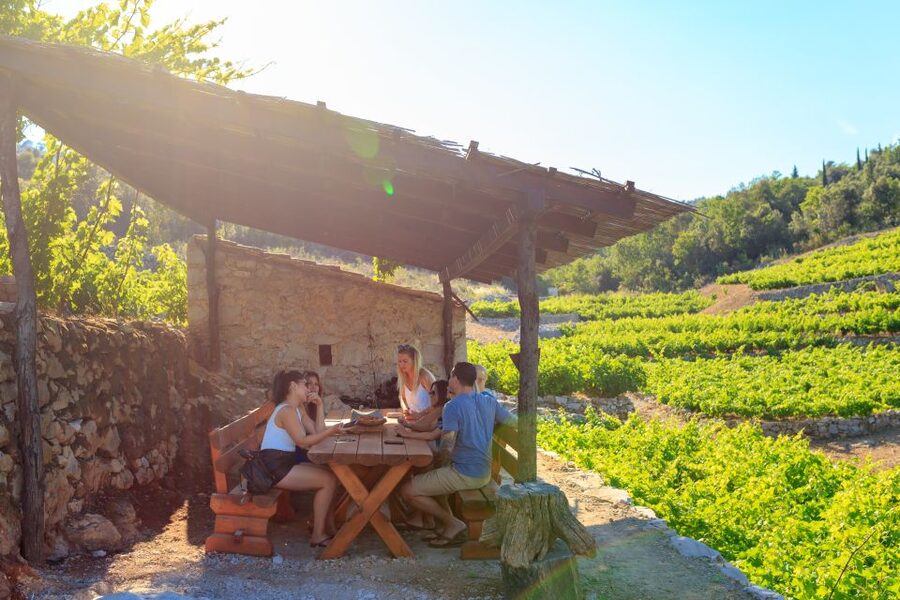 Pelješac Full-Day Wine and Food Tour from Dubrovnik - Why Pelješac makes a strong day trip from Dubrovnik