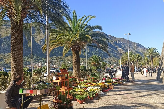 Private Walking tour with Wine and Food - The guides make the private format count
