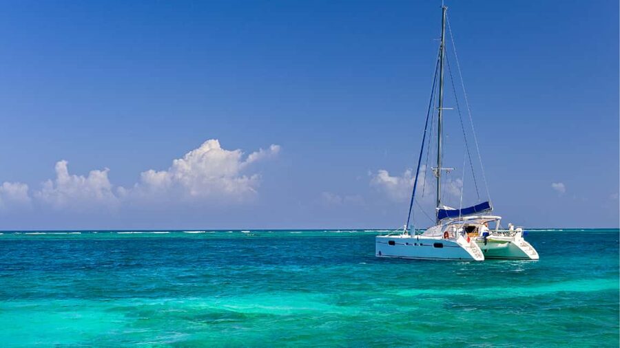 Punta Cana: Saona Island Catamaran Tour with Food & Open Bar - Three hours on Saona’s beach