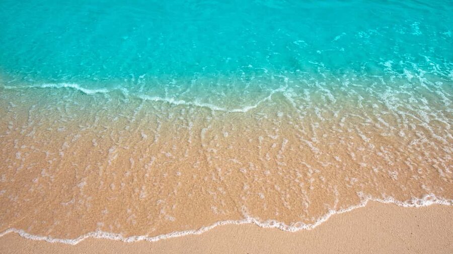 Punta Cana: Saona Island Catamaran Tour with Food & Open Bar - Guides, group mood, and service