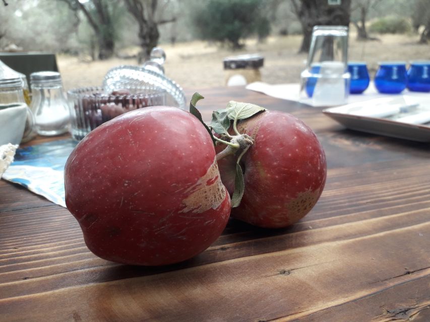 Rethymno: Olive Oil Tasting with Cretan Food Pairing - Who will enjoy this olive oil experience most