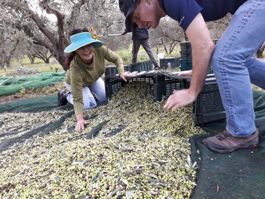 Rethymno: Olive Oil Tasting with Cretan Food Pairing - Aspassia’s relaxed way of teaching