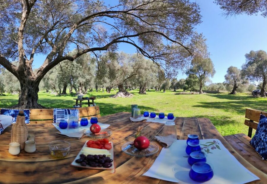 Rethymno: Olive Oil Tasting with Cretan Food Pairing - Timing, transport, and outdoor comfort