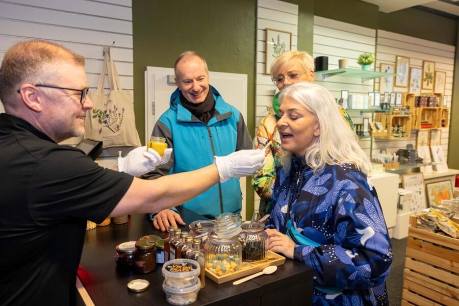 Reykjavik: Icelandic Food Tour - The adventurous tasting: fermented shark
