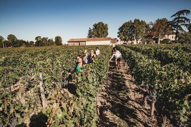 Saint-Emilion Food and Wine Day Tour - Why this Saint-Émilion day works