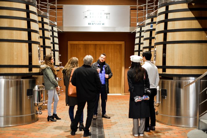 Saint-Emilion Food and Wine Day Tour - Who should book this tour?