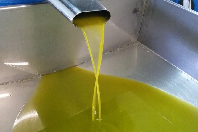 Sorrento Farm and Food Experience including Olive Oil, Limoncello, Wine tasting - Leaving Sorrento for the hills
