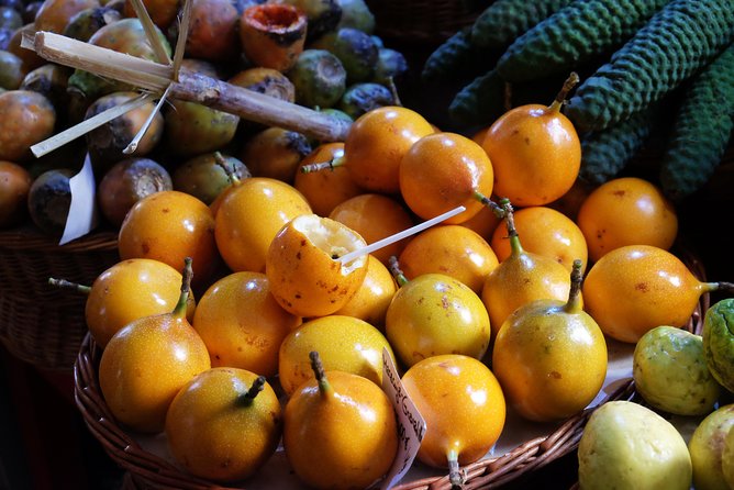 Taste Funchal: food, wine & cultural tour - Madeira wine, poncha, and sensible pacing