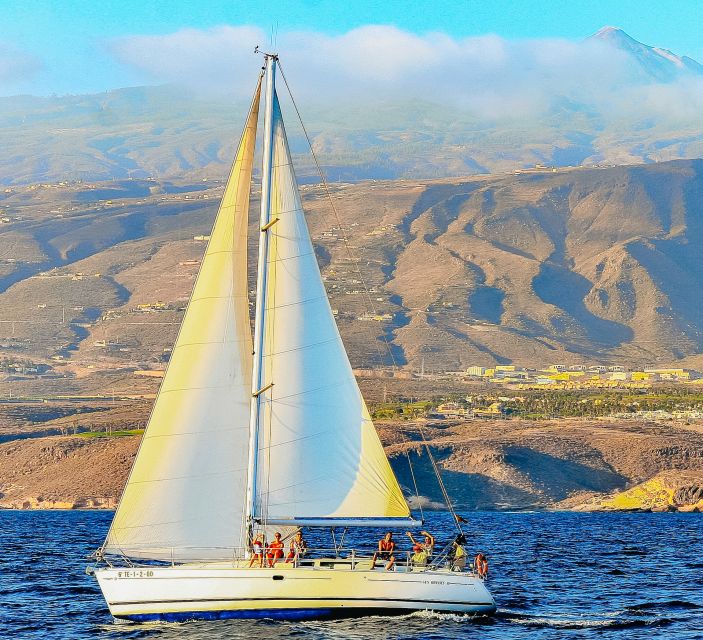 Tenerife: Sailboat Tour Whale Watching Food and Snorkeling - Who should book this trip?