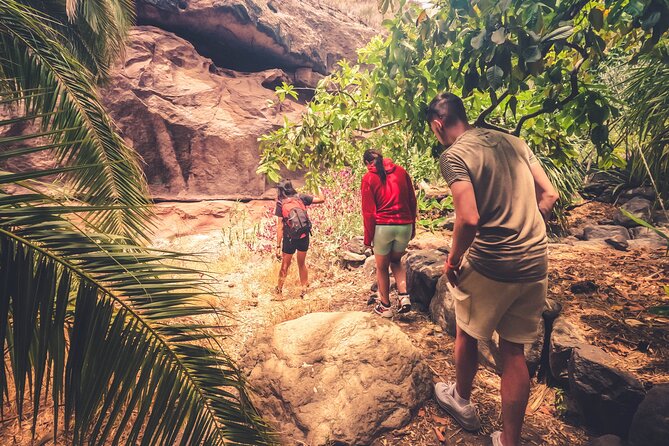The Red Canyon Tour - Small Group Trip with Local Food Tasting ツ - Walking through the Tobas de Colores del Barranco de Las Vacas