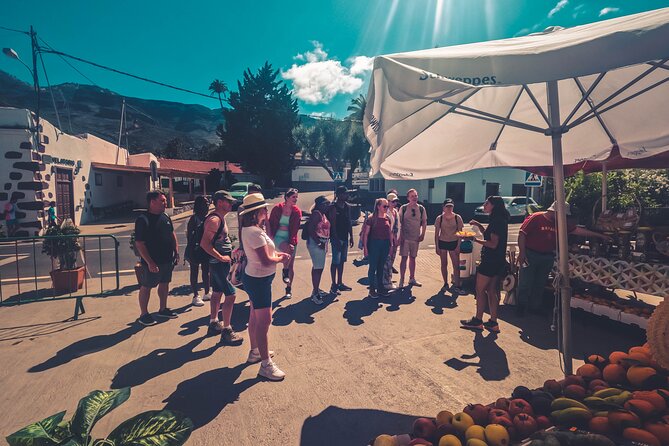 The Red Canyon Tour - Small Group Trip with Local Food Tasting ツ - Ending at Playa de Arinaga