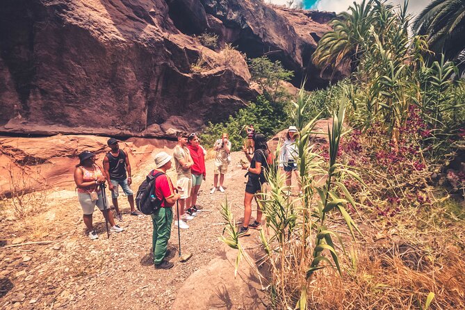 The Red Canyon Tour - Small Group Trip with Local Food Tasting ツ - Transport, timing, and the pickup routine
