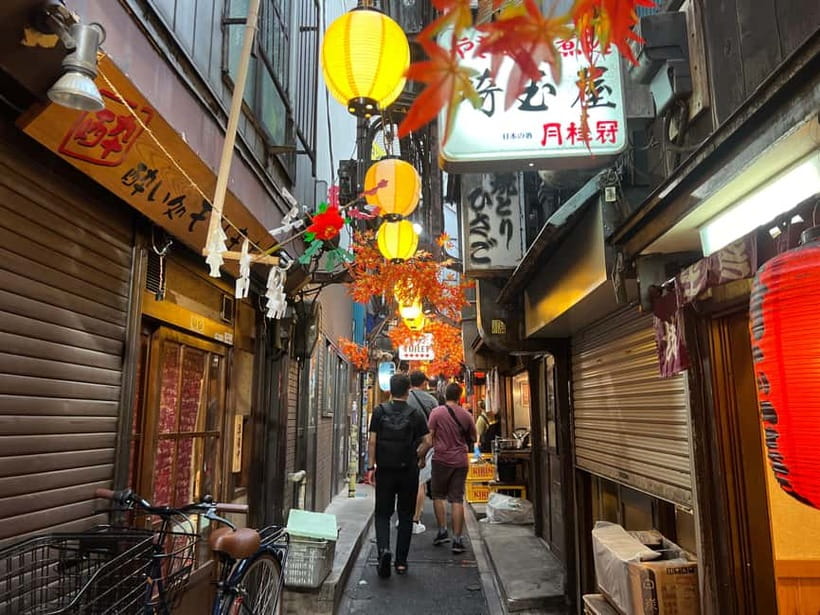 Tokyo: Shinjuku Food Tour (15 Dishes and 4 Eateries) - What you may actually eat