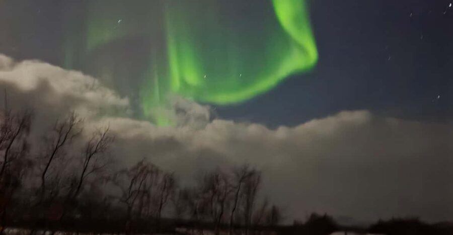 Tromsø: Expert Aurora Hunt - Thermal Gear, Food, Campfire - Key points to know before booking