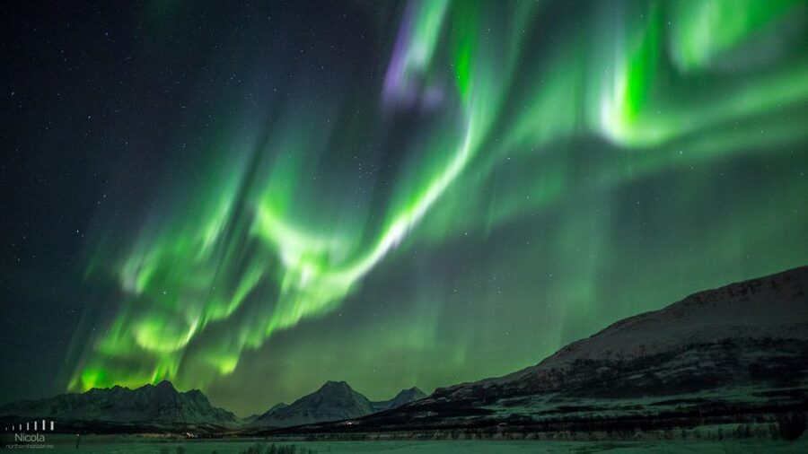 Tromsø: Expert Aurora Hunt - Thermal Gear, Food, Campfire - The campfire stop brings the night to life