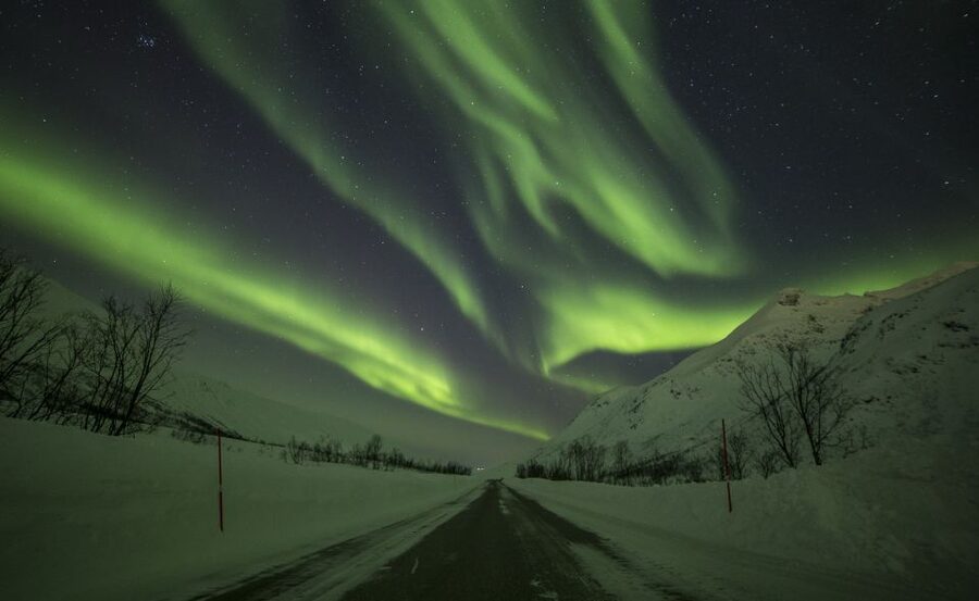 Tromsø: Expert Aurora Hunt - Thermal Gear, Food, Campfire - Photography help, portraits, and the next-day photos