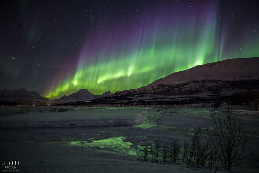 Tromsø: Expert Aurora Hunt - Thermal Gear, Food, Campfire - The guides shape the whole evening