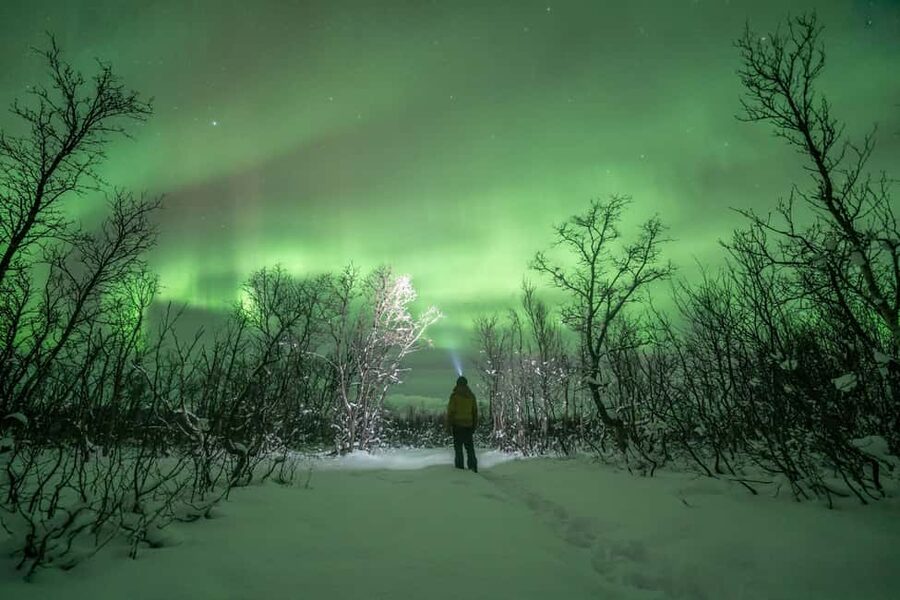 Tromsø: Northern Lights Hunt with Photos and Hot Food - Waiting beside the campfire