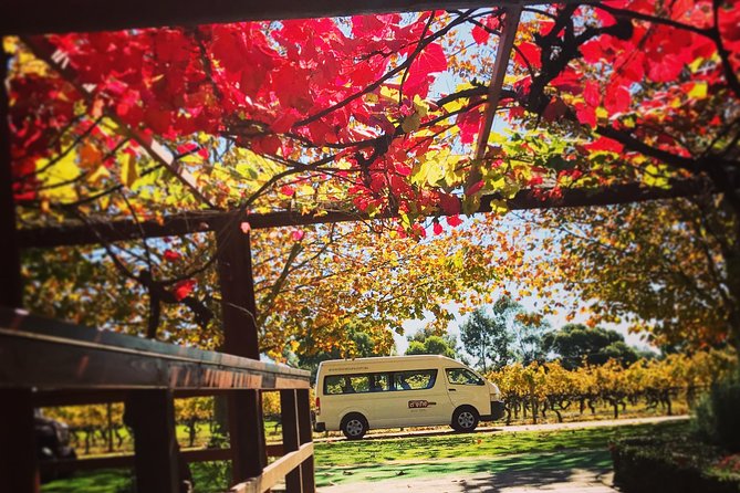 Ultimate Swan Valley Food and Wine Day Trip from Perth - Is $121.21 good value?