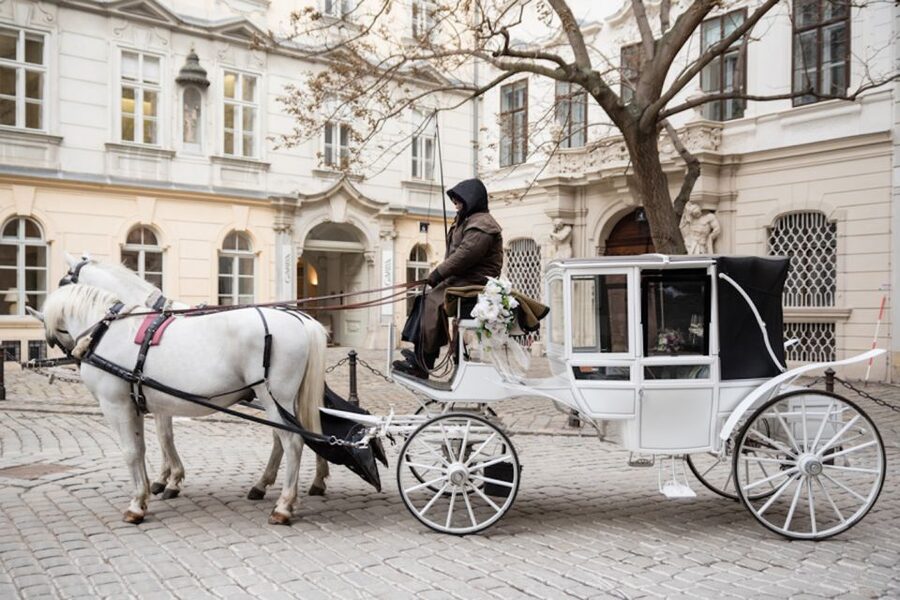 Vienna: Culinary Horse-Drawn Carriage Experience - The coachman and the stories of Vienna