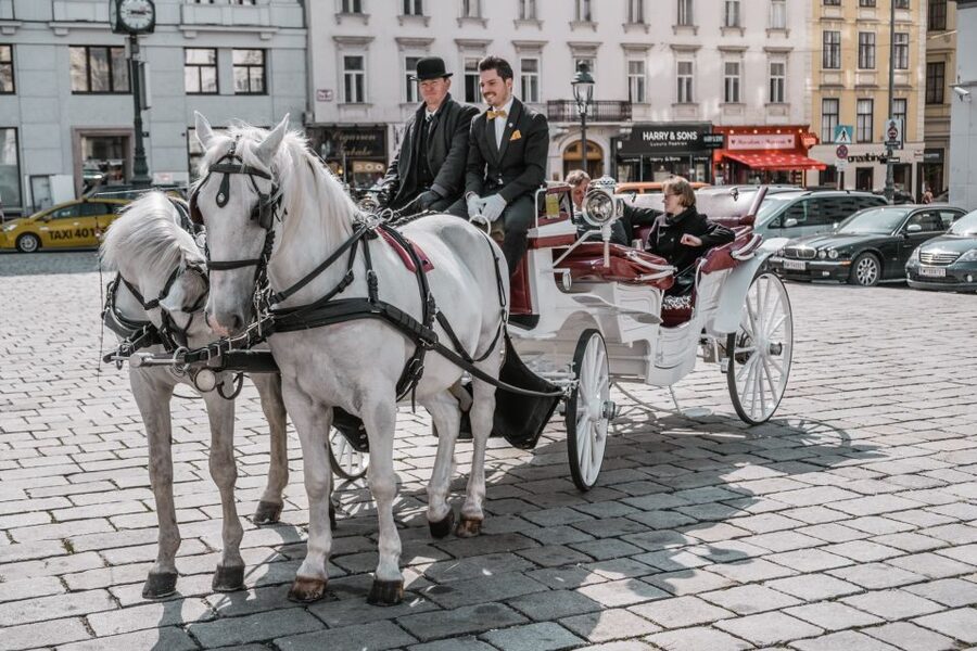 Vienna: Culinary Horse-Drawn Carriage Experience - Is $229 a fair price?