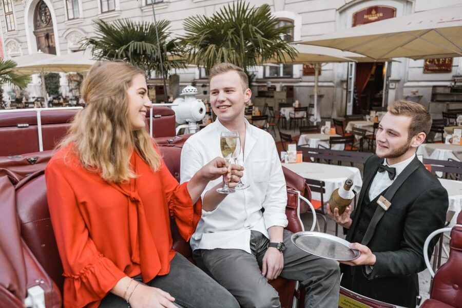 Vienna: Culinary Horse-Drawn Carriage Experience - Who should choose this experience?