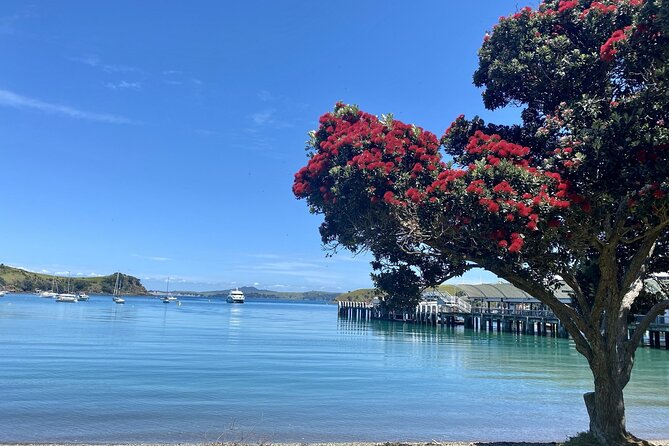 Waiheke Island Gourmet Food and Wine Tour - Allpress Olive Groves adds a different flavor