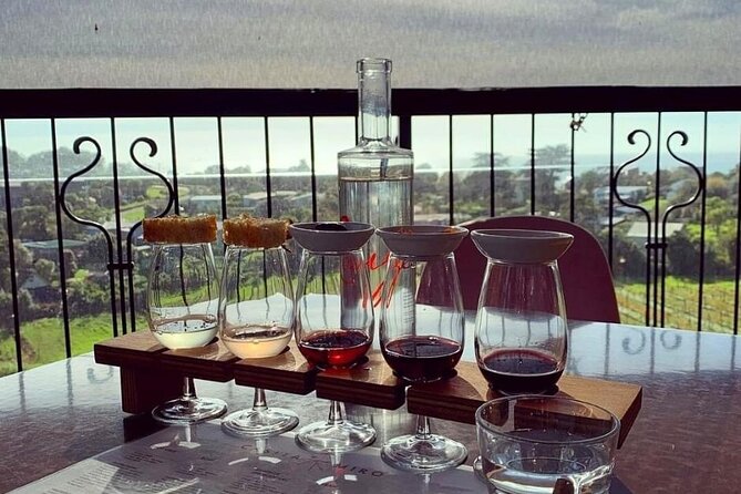 Waiheke Island Gourmet Food and Wine Tour - Casita Miro brings the best food pairing