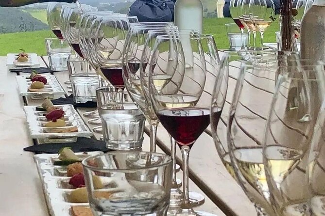 Waiheke Island Gourmet Food and Wine Tour - Who will enjoy this day most