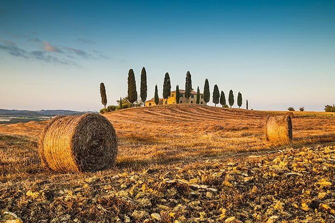 Walking Food Tour of Florence with Tastings and Wine - How much walking and eating should you expect?