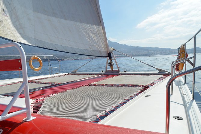 Whale Watching and Listening Eco Catamaran Tour with Food Tasting - Setting out from Puerto Colón at 10:30