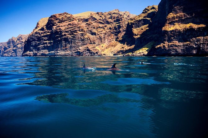 Whale Watching and Listening Eco Catamaran Tour with Food Tasting - Crew, commentary, and the question of respect