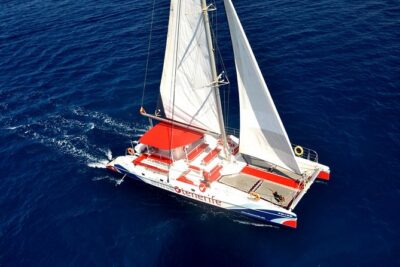 Whale watching and listening Eco-Catamaran Tour with Food Tasting