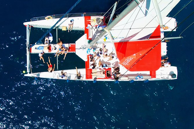 Whale Watching and Listening Eco Catamaran Tour with Food Tasting - What the $71.35 price really covers