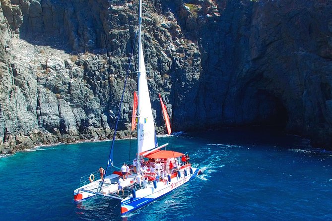 Whale Watching and Listening Eco Catamaran Tour with Food Tasting - Who will enjoy this catamaran most