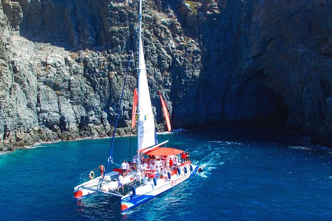 Whale watching and listening Eco-Catamaran Tour with Food Tasting - Timing, weather, and who will enjoy it