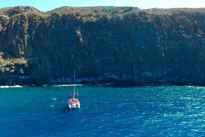 Whale watching and listening Eco-Catamaran Tour with Food Tasting - Booking and cancellation details