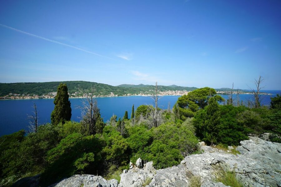Zadar: Guided Speedboat Tour with Food, Oil & Wine Tasting - The final stop in Kali brings the meal
